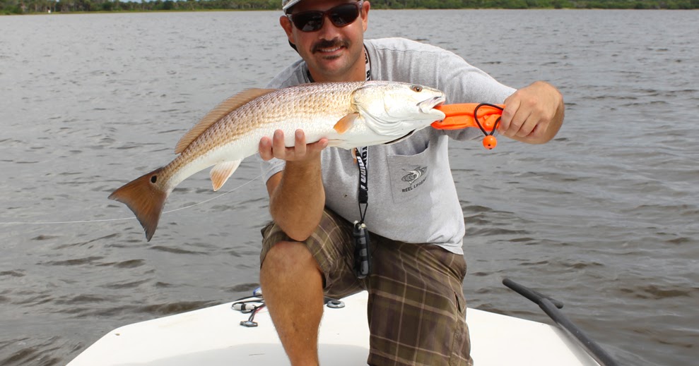 Fishing Report Greater Daytona Beach Florida 9122013 Daytona/Ormond