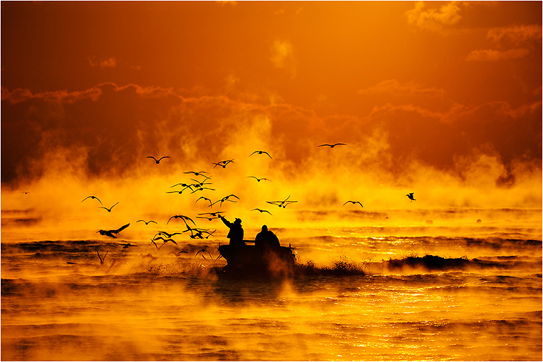 Emerging Photographers, Best Photo of the Day in Emphoka by Seungjin Song Emerging Photographers, Best Photo of the Day in Emphoka by Seungjin Song