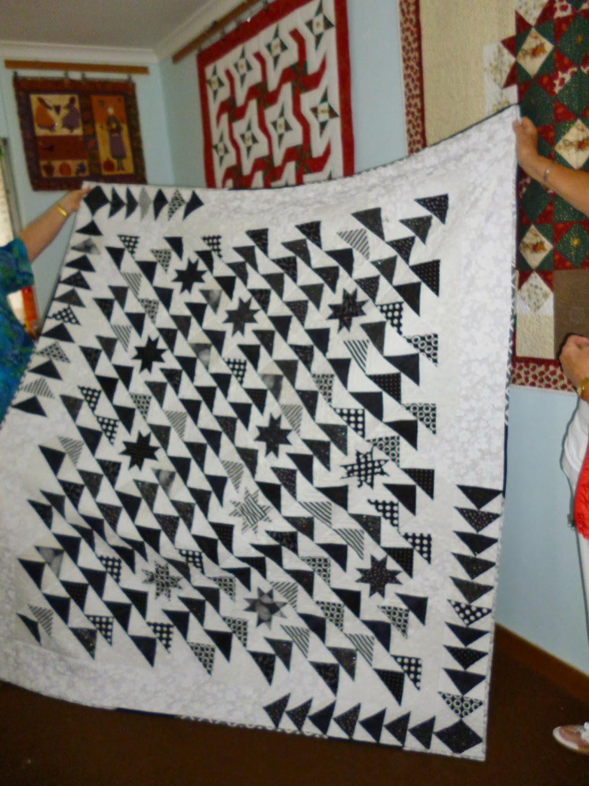 The Quilt Basket 'BASKET CASES' QUILTS!