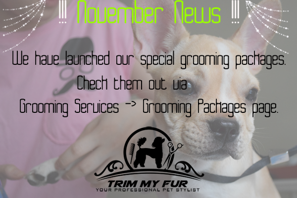http://trimmyfur.blogspot.sg/p/grooming-package.html