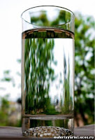 Can something equally unproblematic equally drinking H2O assist weight loss Does Drinking Water Help Weight Loss?