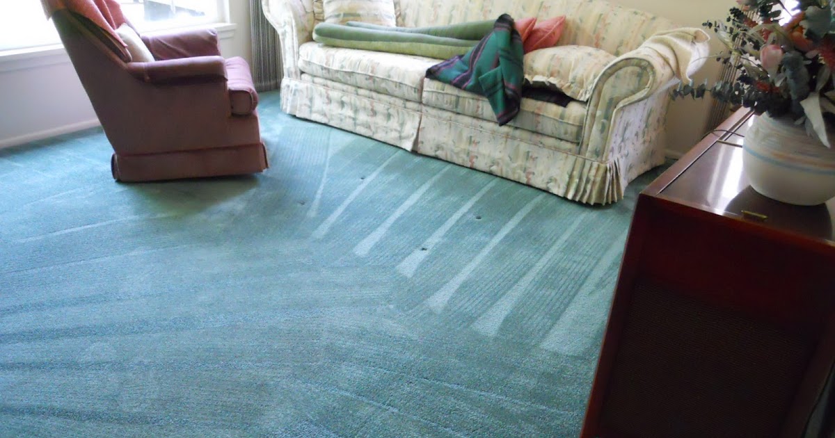 Alpine Professional Carpet Care CARPET CLEANING IN SALT LAKE CITY UTAH