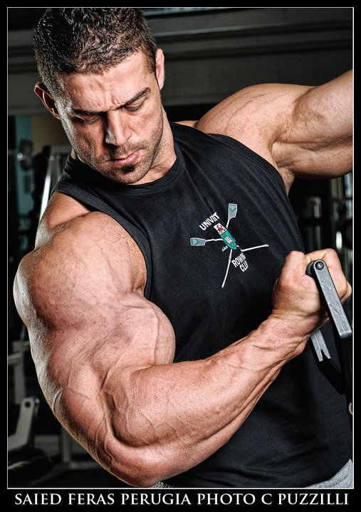 Saied Feras