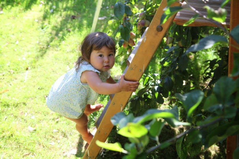 how one tiny plum unlocked a world of hope