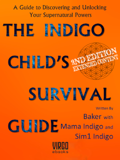 http://virgoebooks.com/the-indigo-child-survival-guide.html