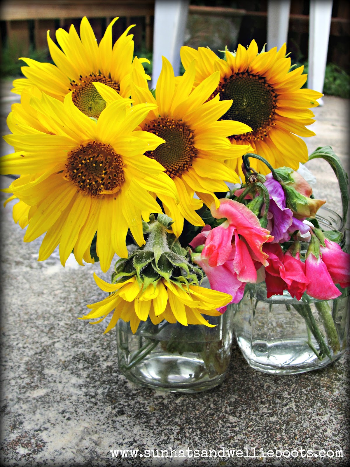 Sun Hats & Wellie Boots: 10 Activities Exploring Garden Flowers