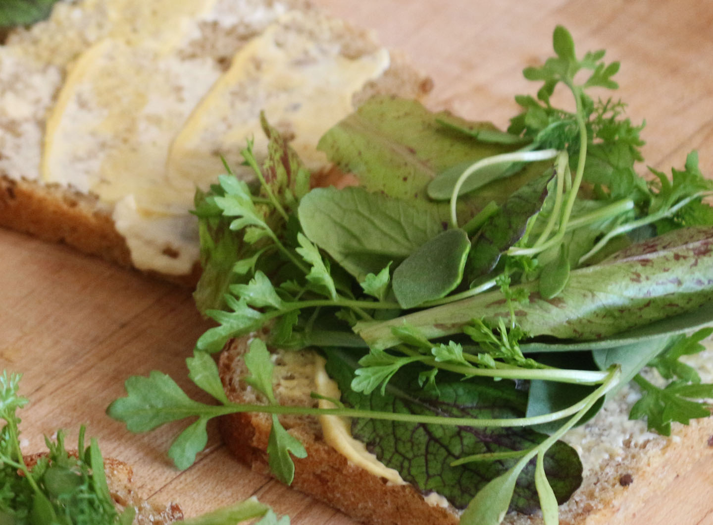 66 Square Feet (Plus) Chicken and leaf sandwiches