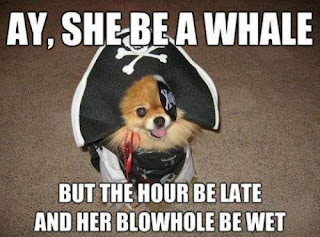 Funny pictures with captions, Funny caption pictures funny+pictures+with+captions+(15) Funny pictures with captions, Funny caption pictures