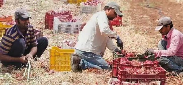 Παραχώρηση εκτάσεων γης σε 1.500 “πρόσφυγες” σε Βοιωτία και Μακεδονία! Παραχώρηση εκτάσεων γης σε 1.500 “πρόσφυγες” σε Βοιωτία και Μακεδονία!