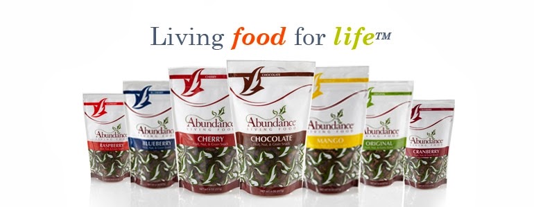 Abundance Living Food.