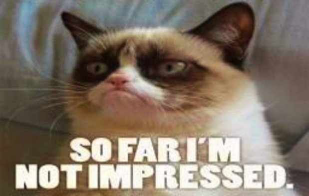 http://4.bp.blogspot.com/-FmyvTjaHTok/UeBUAkk4DXI/AAAAAAAAKJo/ciYtH8UpXGI/s640/grumpy-cat-so-far-i'm-not-impressed.jpg