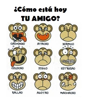 imagenes chistosas para imagenes graciosas para facebook. imagenes chistosas para