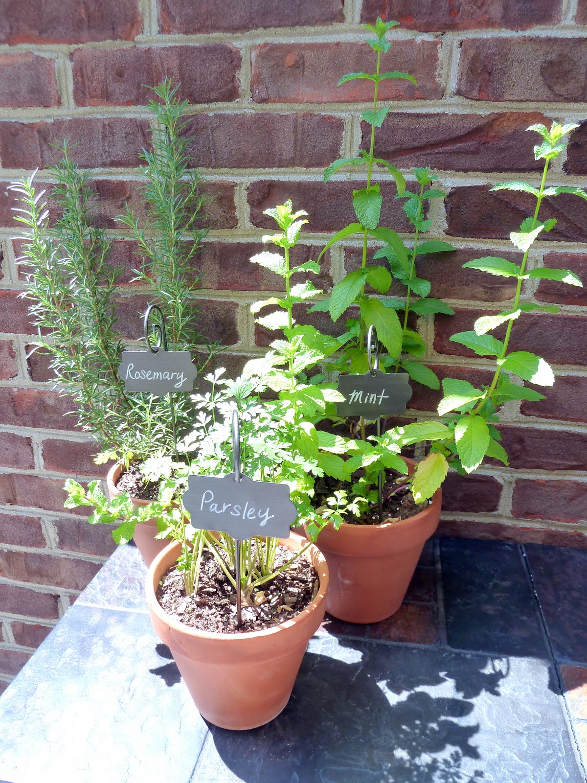 Planting an herb garden was on my summer list. I just love having fresh