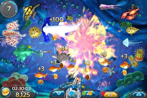 [Image: ban-ca-an-xu4.jpg]