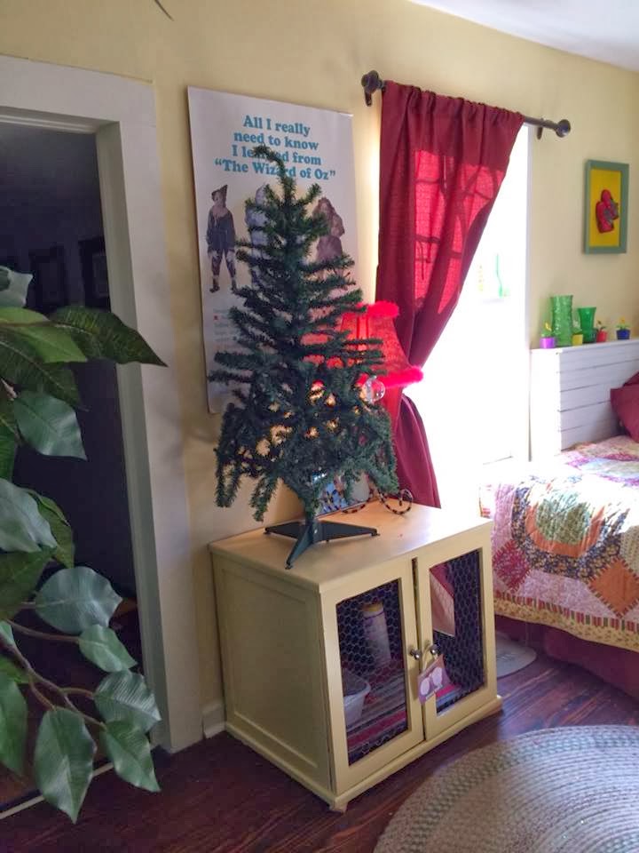 The Big Yellow House How many Christmas trees are too many?