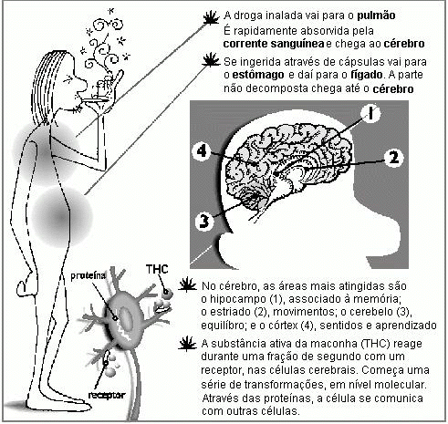 O livro a multa de Allen facilmente e somente deixar de fumar