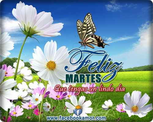 imagenes de feliz martes