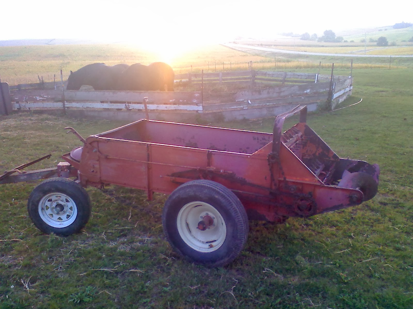 Amish Horses Hauling Manure