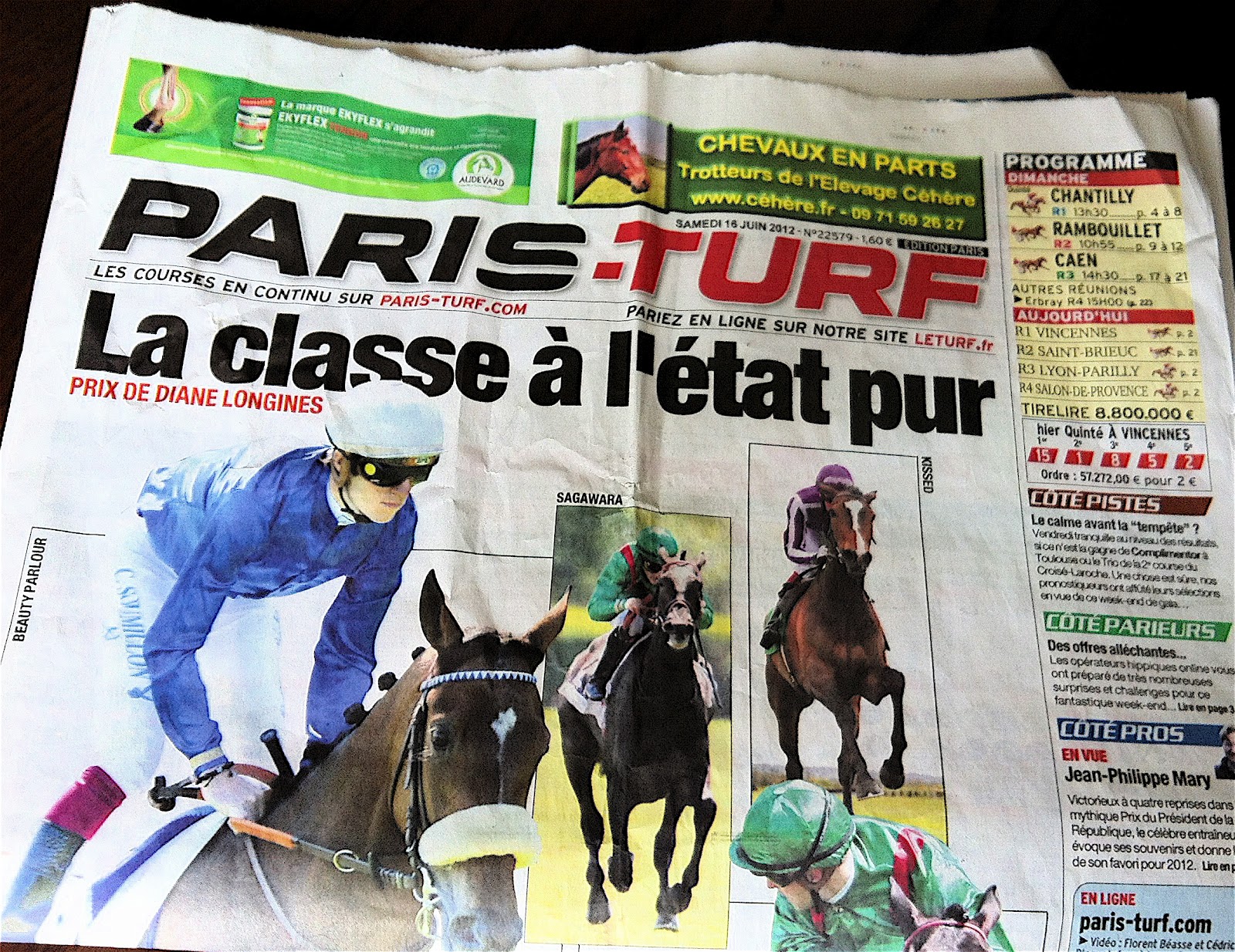 Welches Image hat PARIS-TURF?1600 Welches Image hat PARIS-TURF?1600
