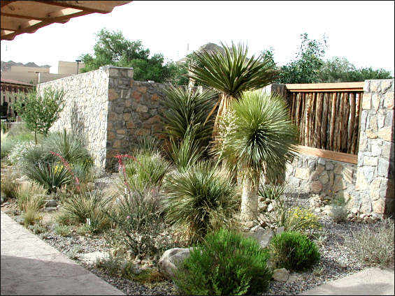 plantas jardim classico:Jardim desértico ou rochoso tem por objetivo reproduzir uma plantas jardim classico:Jardim desértico ou rochoso tem por objetivo reproduzir uma
