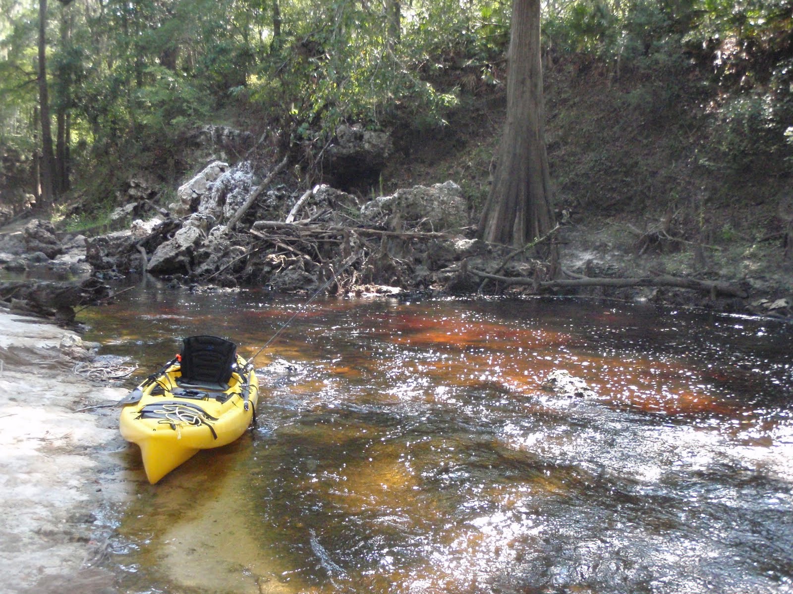 SOUTH KAYAK FISHING Alapahoochee convergence at Alapaha River