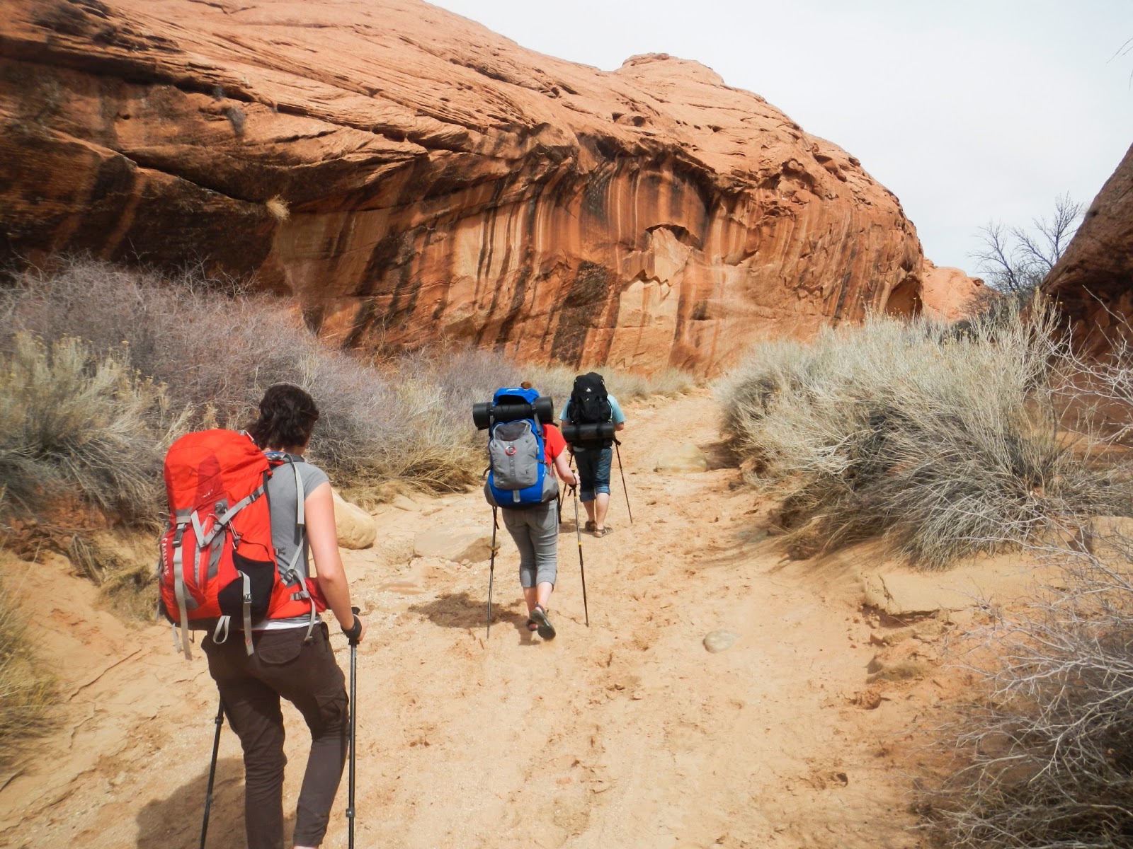 Everything For The Outdoors Backpacking in Coyote Gulch