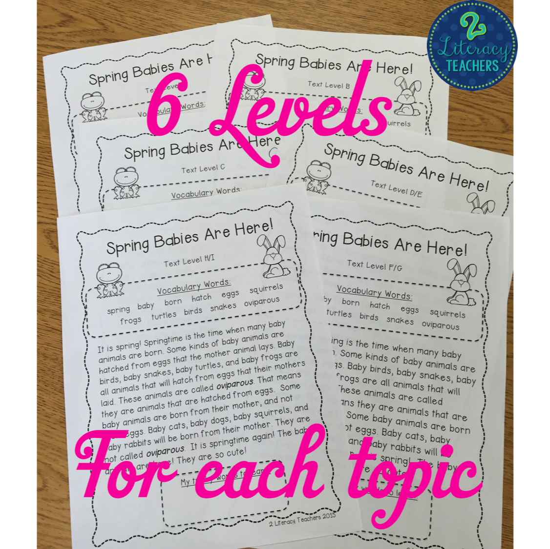 2 Literacy Teachers Spring has Sprung!