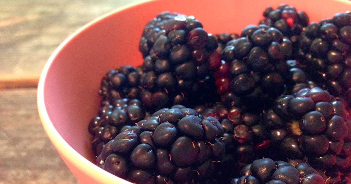 griggs & woodward honey lavender goat cheese crostini