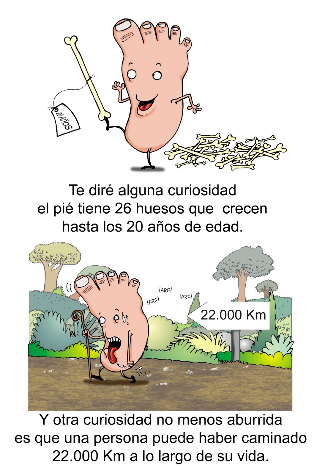 Cuidados de los Pies Cuidados de los Pies