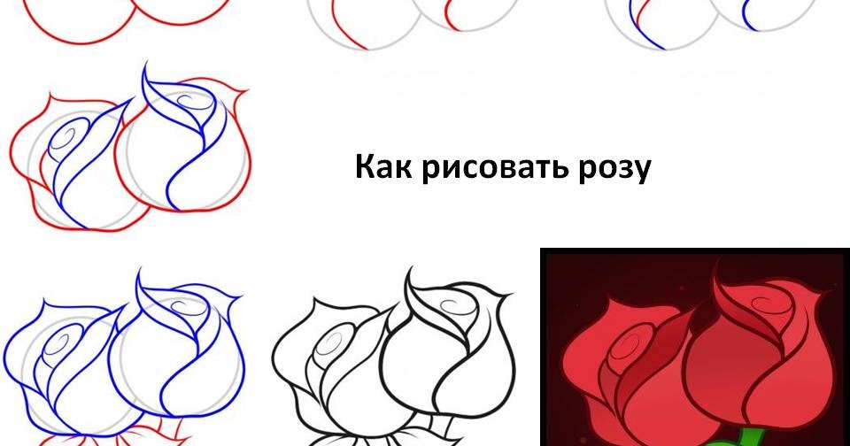 Рисунки как легко нарисовать розу Рисунки как легко нарисовать розу