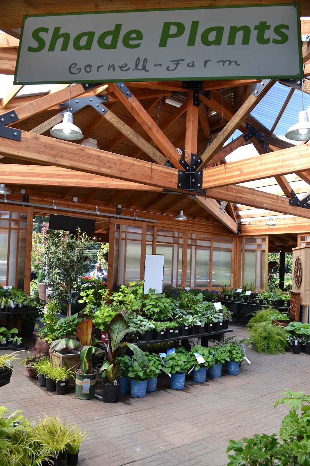 The Outlaw Gardener Visiting Cornell Farm Nursery in Portland