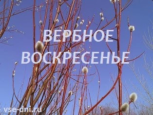 Когда будет духов день в 2018 Когда будет духов день в 2018