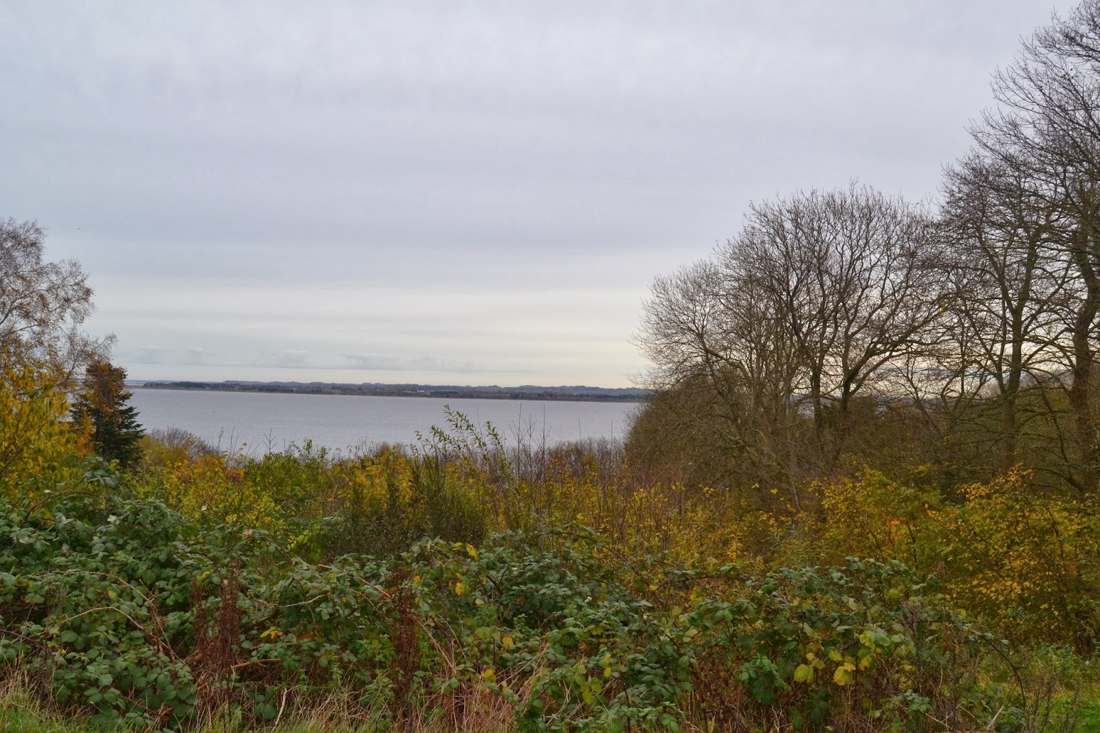 [Image: DSC_0029.JPG]