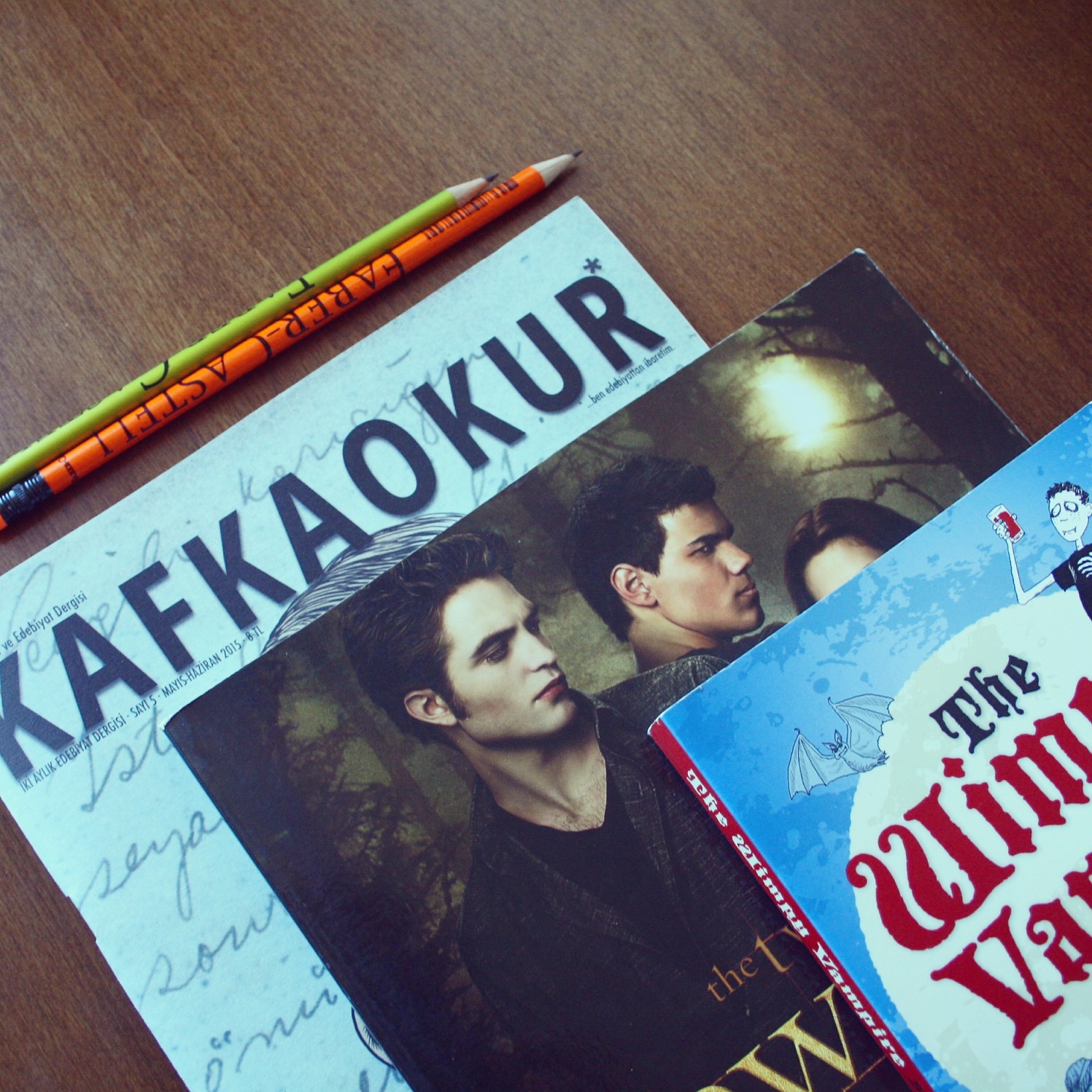 Vampire Saga Twilight: sırayla kitaplar 75