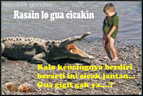 Gambar Meme Lucu Teka Teki Jenaka Kocak Cicak Vs Buaya