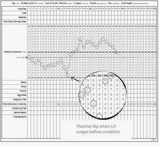 making baby series part 12 the making babies basal body basal body temperature chart vs not