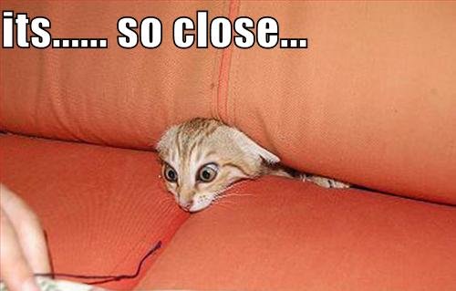 So Close Almost There Funny Wallpaper Download