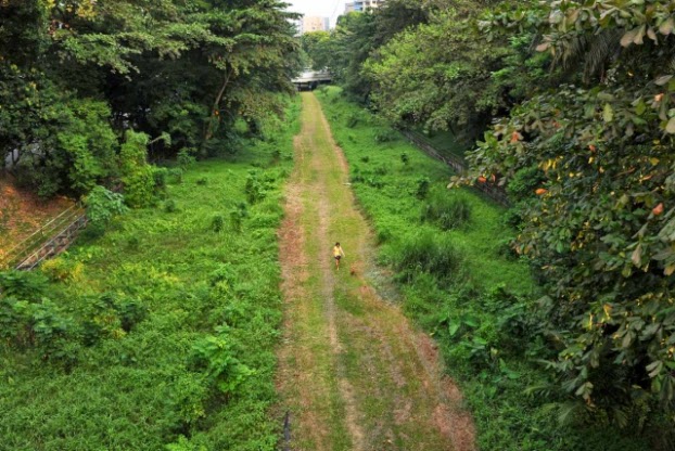 Some of the proposed access points by the SUTD team include the intersections between Henderson Road and the Ayer Rajah Expressway; Commonwealth Avenue West and North Buona Vista Road; and Upper Bukit Timah Road and Petir Road.