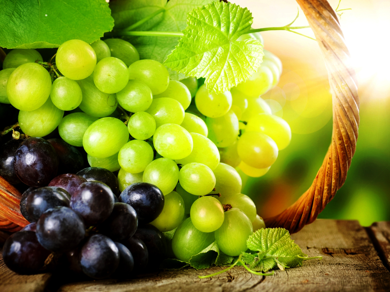 Grapes Macro Fruit Photography HD Wallpapers HQ Wallpapers Free