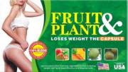 fruit&plant pelangsing