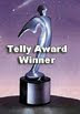 Multiple Telly Award-Winning Producer-Writer-Director