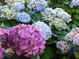 Dbkp Worldwide Leader In Weird 10 14 07 10 21 07