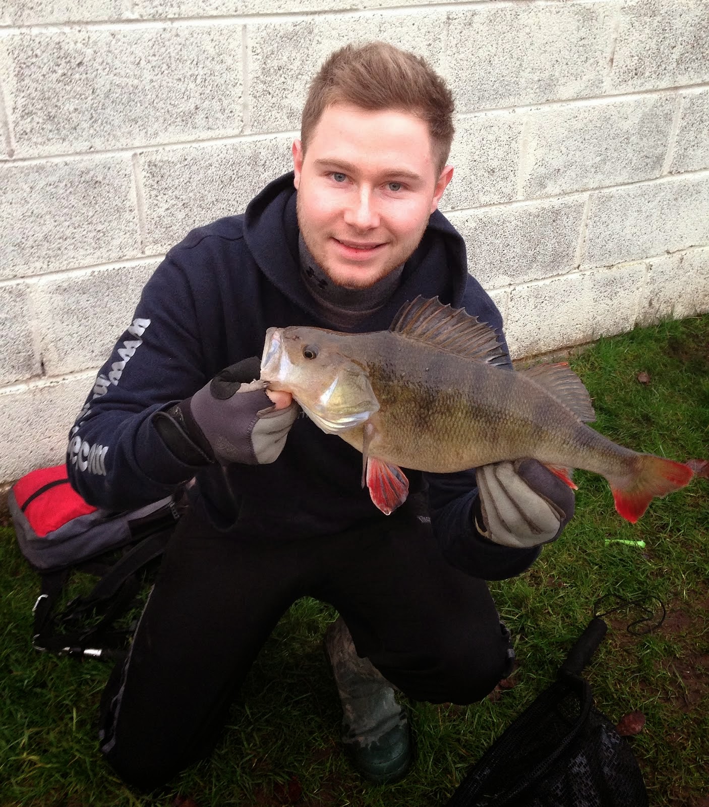 PB Perch 2lb 3oz, Daiwa D-Fin 4" Chartreuse Weedless