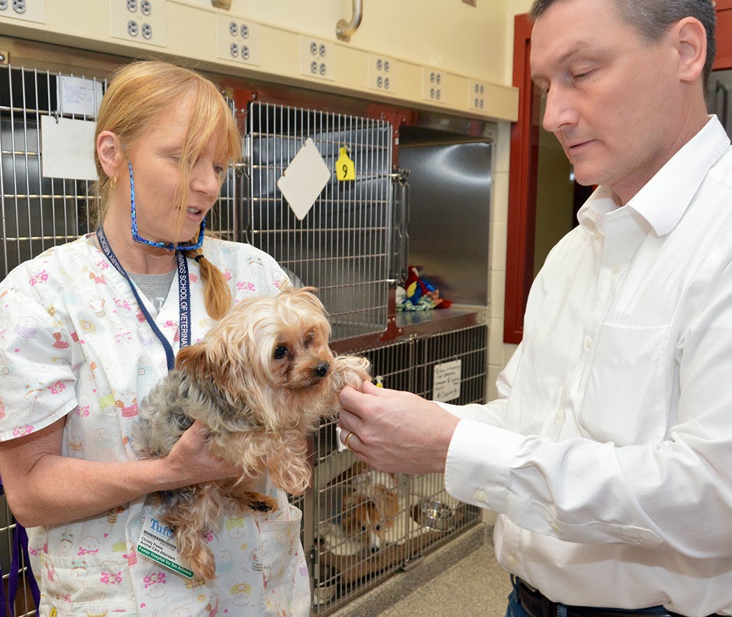 1000+ images about Building a Vet Practice Wards on