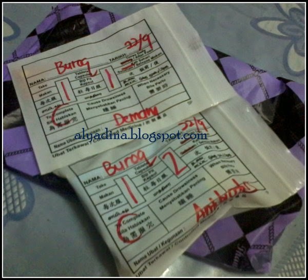 Ubat Kucing Demam Antibiotik Untuk Kucing