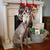 Merry Christmas!