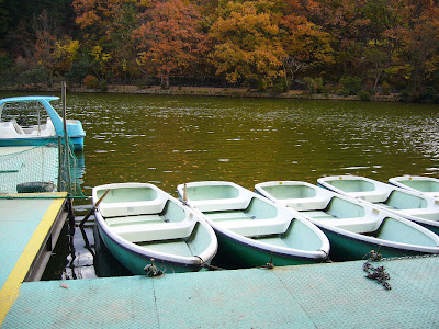 京都市・宝が池公園ウォーキング