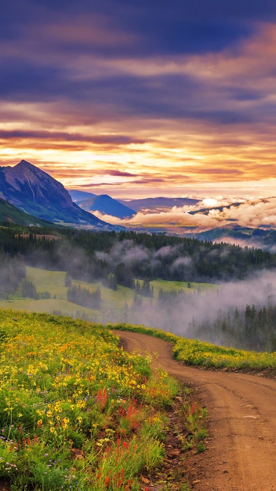 Mountains Forest Valley Dawn Fog Android Wallpaper