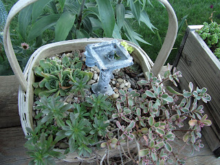 Cheesehead Gardening: Miniature Container Gardens / Fairy Gardens