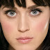 Katy Perry 3D llevará al cine varios de sus conciertos